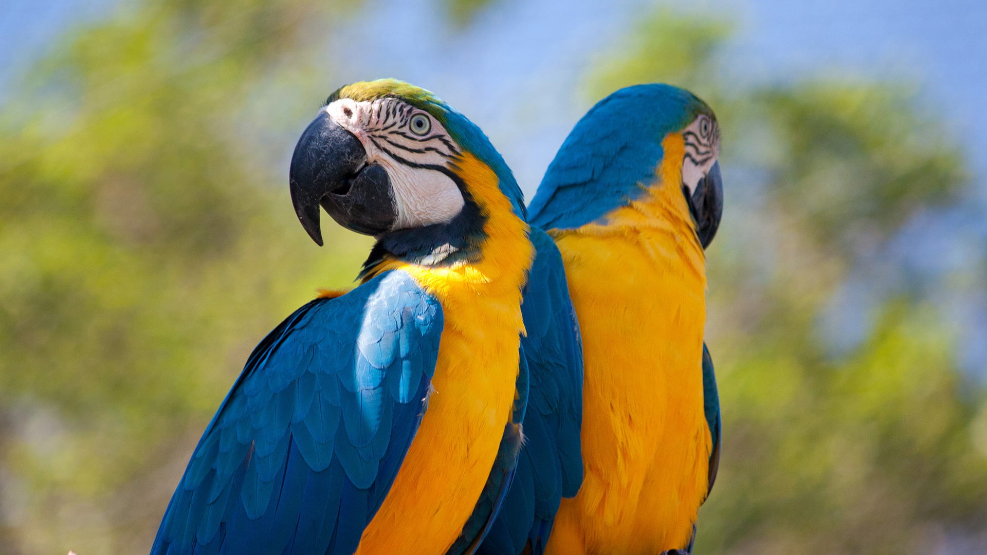 Zoológico da Cidade | Aracaju SE